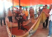 Arena Judi Sabung Ayam di Grebek Polsek Woha Amankan Dua Ekor Ayam Aduan Para Pelaku Lari Kocar-kacir