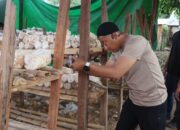Ketahanan Pangan Nasional, Polsek Monta Polres Bima Inisiasi Dengan Budidaya Jamur Tiram