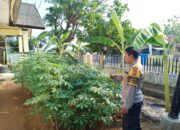 Ketahanan Pangan, Bhabinkamtibmas Polsek Soromandi Edukasi Masyarakat Manfaakan Pekarangan