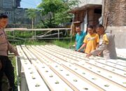 Bhabinkamtibmas Polsek Rasanae Barat Tinjau Perkembangan Tanaman Hidroponik di Kelurahan Monggonao