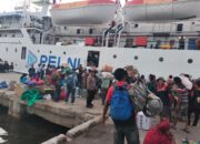 Pos Pelayanan Pelabuhan Laut Bima Ops Lilin Rinjani 2024 Amankan Kedatangan Kapal KM. WILIS dari Labuan Bajo