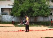 Berbaur dan Bantu Proses Pengeringan Jagung Wujud Sinergitas Polri dan Masyarakat Dukung Ketahanan Pangan