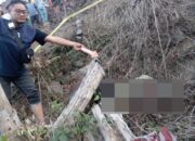 Respon Laporan Masyarakat, Polsek Sape Evakuasi Mayat Petani di Gunung