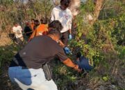 Mahasiswa Ditemukan Tewas di Pegunungan Ule, Tim Inafis Lakukan Olah TKP dan Evakuasi