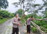 Gerak Cepat Polsek Asakota Evakuasi Pohon Tumbang yang Menutup Akses Jalan Umum di Ncai Kapenta